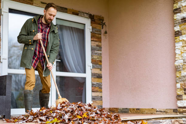 Best Electronics Removal Services  in Freeburg, IL